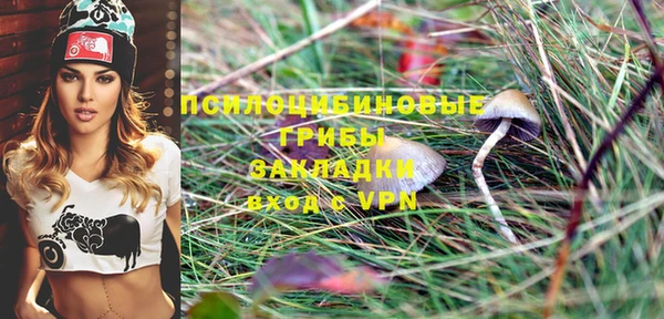 дмт Алексин