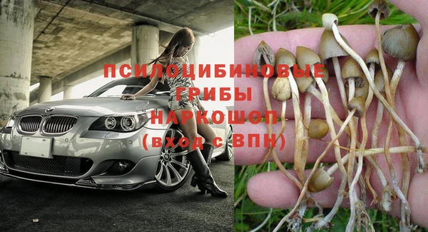a pvp Алзамай